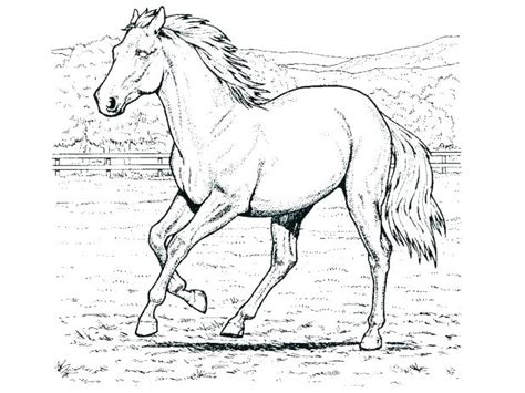 Mustang Horse Coloring Pages at GetColorings.com | Free printable ...