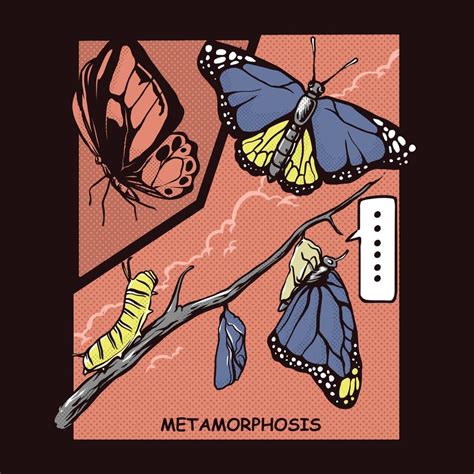 Butterfly metamorphosis comic illustration 2534520 Vector Art at Vecteezy