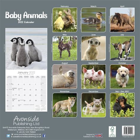 Baby Animals Calendar | Animal Calendars | Pet Prints Inc