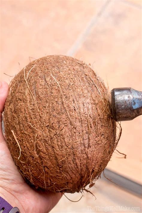 How to Choose a Coconut and How to Open it - Oh, The Things We'll Make!