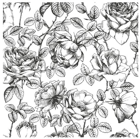 Floral - anewall | Roses drawing, How to draw hands, Flower drawing