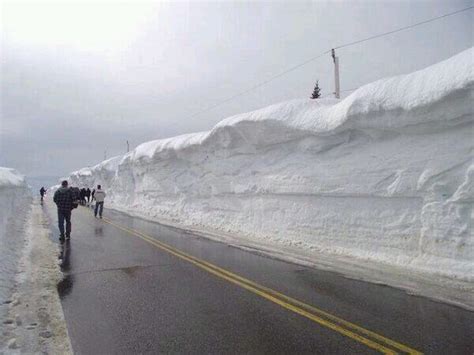 To everyone complaining about all the snow this winter. This is the Cape Breton Highlands, Nova ...