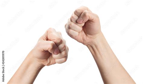 Fists in a fighting stance, ready to fight. First person view, isolated on white background ...