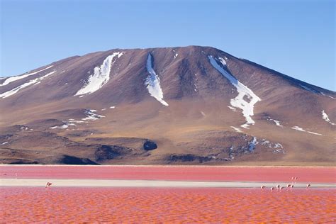 Discover the Highlights of Bolivia - 15 Days | kimkim