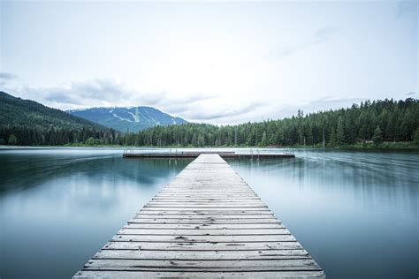 Brown wooden bridge above body of water photography during day time HD ...