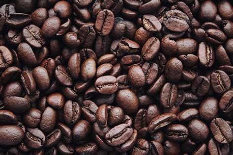 Coffee Beans · Free Stock Photo