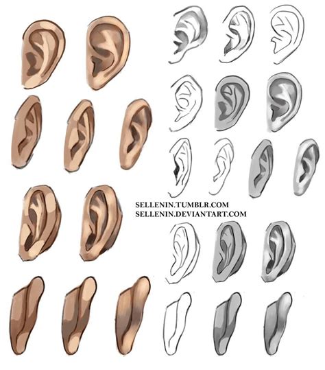 Ears reference by Sellenin | Ear art, How to draw ears, Art reference