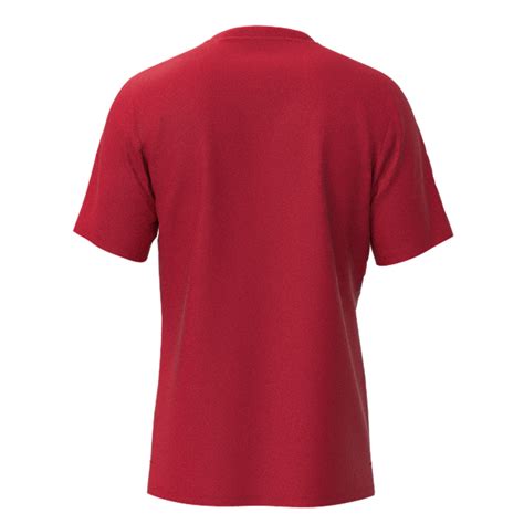 Chiba T-shirt Men - | Tennis shirts | Mizuno Greece