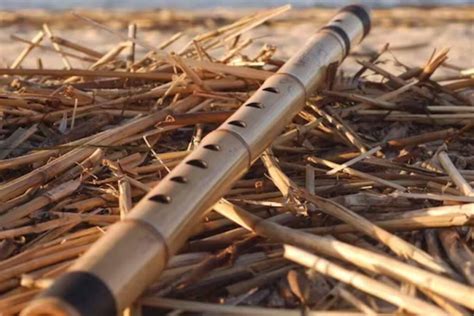 The Bamboo Flute - History, Type and Making - Phamox Music
