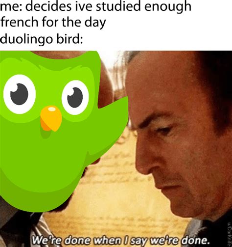 26 Duolingo Memes That'll Strike Fear In Your Heart | History jokes, Funny memes