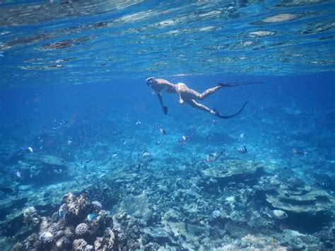 Snorkeling on Reef Huraa North Male Atoll – BEACH HEAVEN MALDIVES