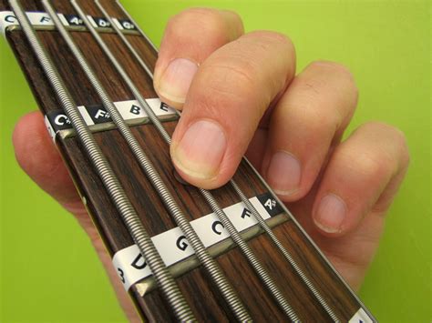 5-STRING BASS GUITAR FRETBOARD NOTE LABELS Learn Fret Stickers + Online ...