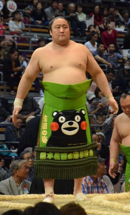 Cool Sumo Kesho-Mawashi Designs! – JapanSauce.Net