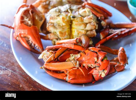Testy fest hi-res stock photography and images - Alamy