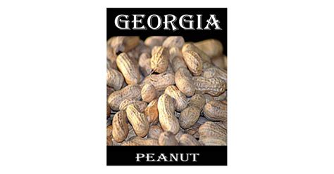 Georgia Peanut Postcard | Zazzle.com