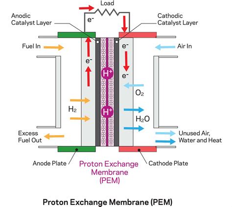 Innovative Fuel Cells Enabled by Ion Exchange Membranes