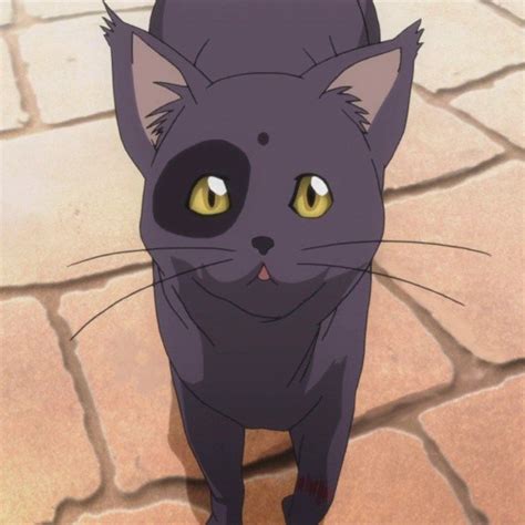 Cats in anime list 2021