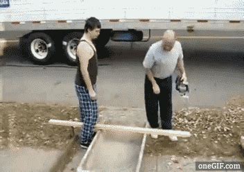 Pin by Mark Champion on Funny | Funny gif, Funny, Funny fails