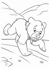 Brother Bear Running coloring Page sketch template
