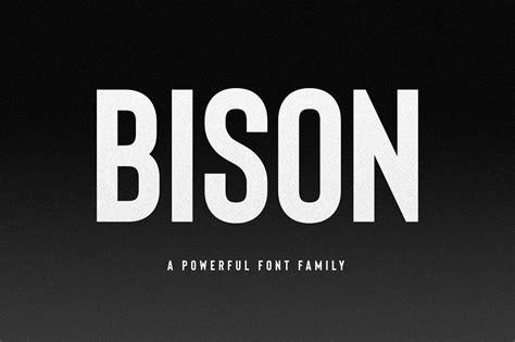 Bison - A Powerful Sans Serif | Sports fonts, Serif fonts, Cool fonts