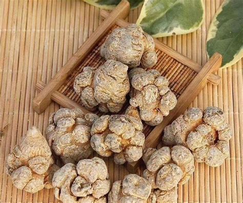 The Health Benefits of Notoginseng (San Qi, 三七) — Wu Healing