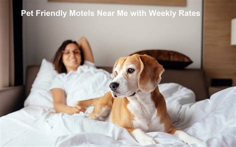 Pet Friendly Motels Near Me with Weekly Rates in 2024