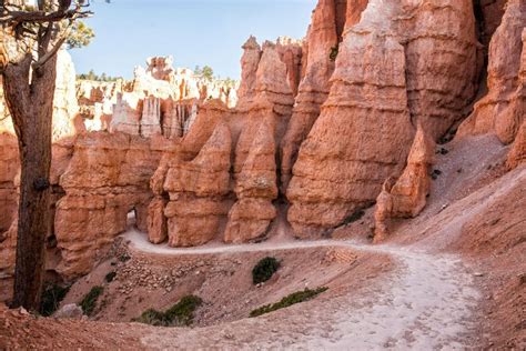 Bryce Canyon Hiking - Earth Trekkers