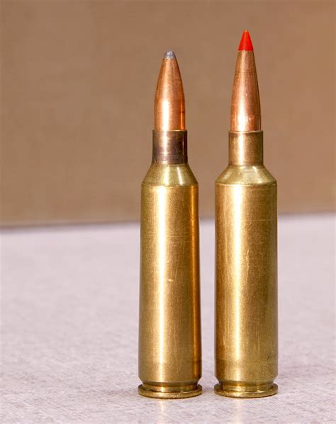 Best Coyote Cartridge Revealed — Ron Spomer Outdoors