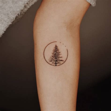 Fine line pine tree tattoo on the inner forearm.