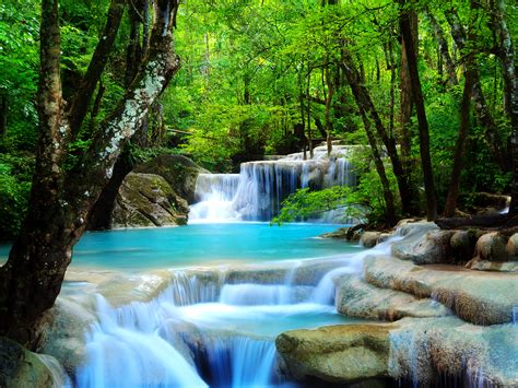 Forest Waterfall wallpaper – What We Have Learned From Romney, Ryan and ...