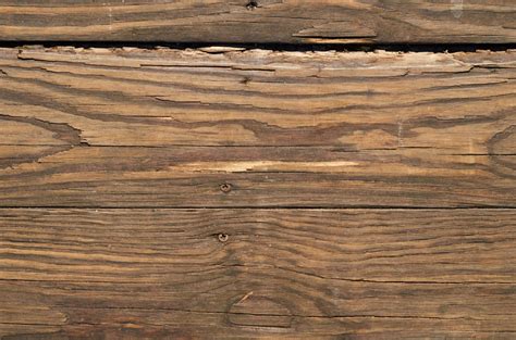Free Images : wood stain, hardwood, brown, wood flooring, plank, lumber, pattern, plywood ...