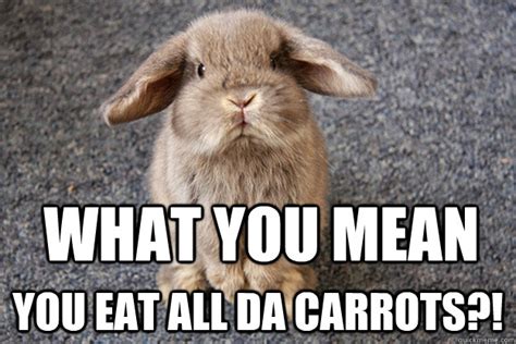 What you mean You eat all da carrots?! - Sad Bunny - quickmeme