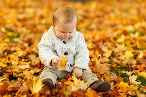 Free Images : outdoor, person, people, play, leaf, fall, flower, kid ...