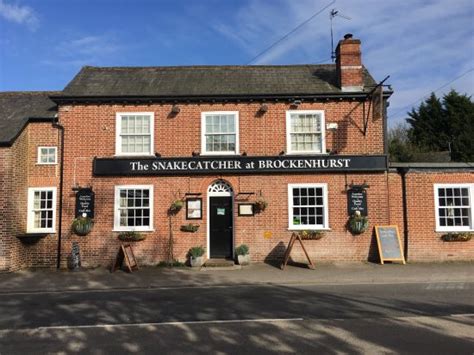 Very nice pub - Review of The Snakecatcher, Brockenhurst, England ...