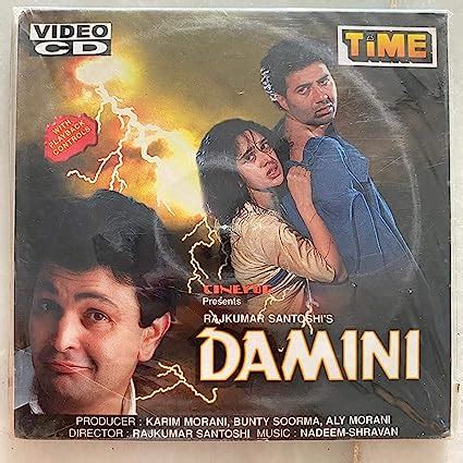 Damini : Sunny Deol, Meenakshi Seshadhri, Rishi Kapoor, Amrish Puri ...