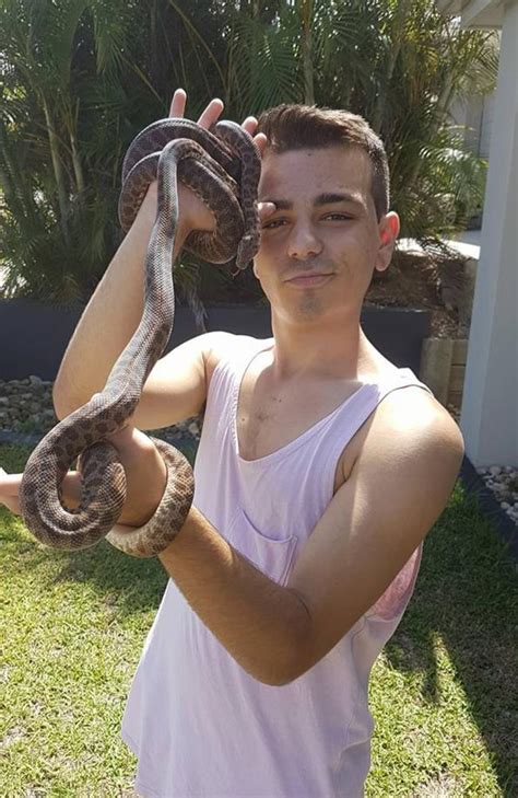 Snake bites: Wrangler Nathan Chetcuti fights for life after inland ...