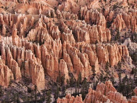 Sunrise at Bryce Canyon 5 Photograph by Helaine Cummins - Fine Art America