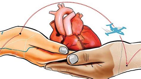 Heart Transplantation: Questions you always wanted to ask | Kauvery Hospital