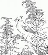 Nature Scenes Coloring Pages  Home sketch template