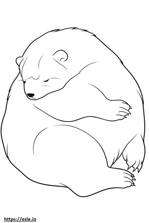 Beaver Sleeping coloring page