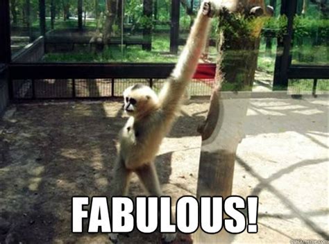 Fabulous! Someone's looking - Fabulous - quickmeme