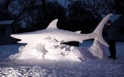 Snow shark - reefs.com | Snow sculptures, Snow art, Sand sculptures