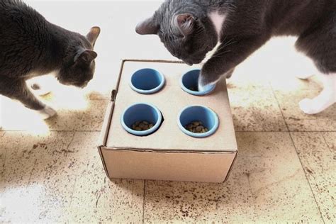 Try This: DIY Puzzle Feeders for Cats in 2023 | Diy cat food, Cat ...