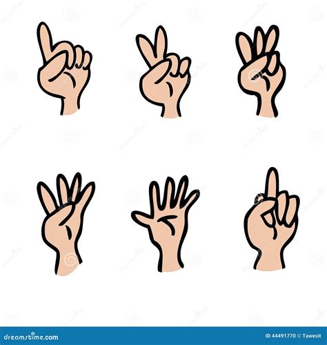 Hand and fingers count stock vector. Illustration of middle - 44491770