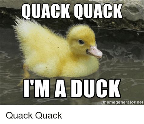 20 Totally Adorable Duck Memes You Won't Be Able To Resist - SayingImages.com