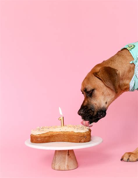 Happy Birthday Dog Bone Cake