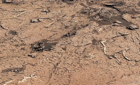 Curiosity Views Mud Cracks in the Clay-Sulfate Transition Region – NASA Mars Exploration