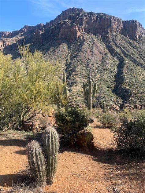 Tonto Basin : The Arizona Native Plant Society