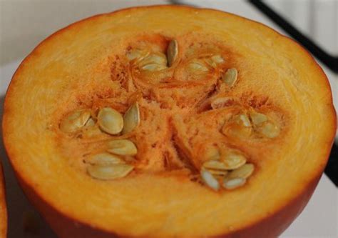 botany - What's the name of the fibrous strands that hold the seeds in a pumpkin? - Biology ...