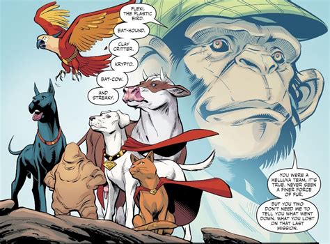 SILBER LININGS: If you don't like superhero pets, you're wrong